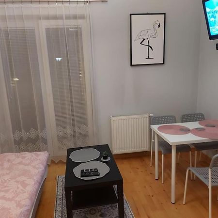 Homelyapartment คราคูฟ ภายนอก รูปภาพ