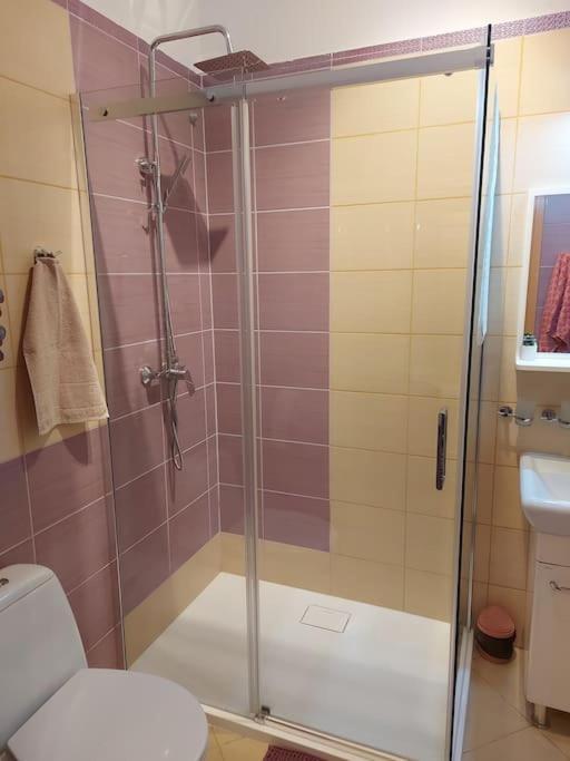 Homelyapartment คราคูฟ ภายนอก รูปภาพ